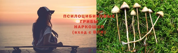 винт Киренск
