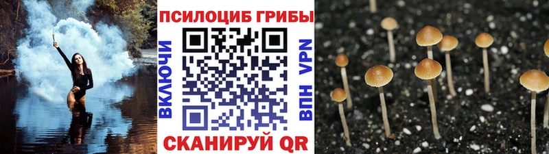 Купить  Воскресенск  Псилоцибиновые грибы MAGIC MUSHROOMS 